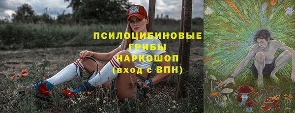 дживик Мегион