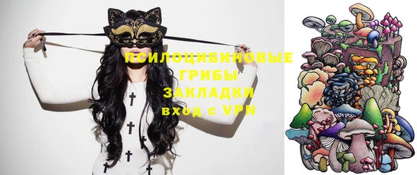 дмт Арсеньев